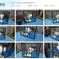 【帆布鞋】飞天原创 把月仙儿禁锢在特制的狗笼里【779MB】